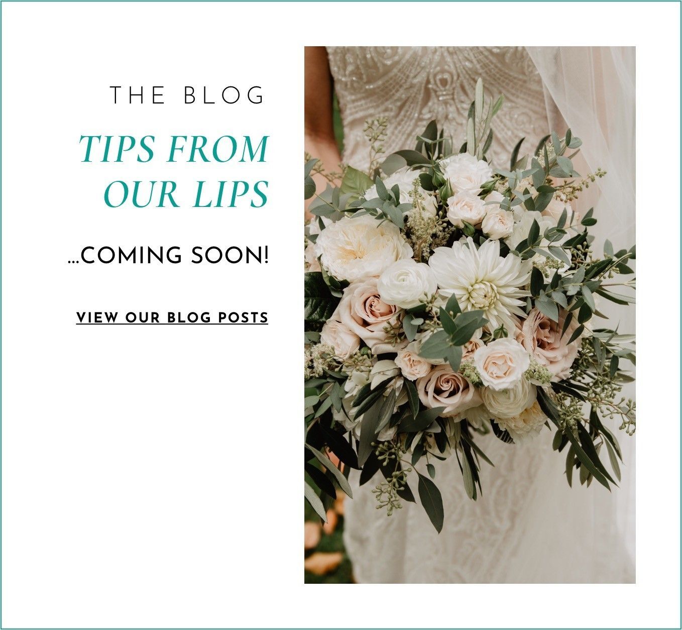 Tips from our Lips! Tips and Blogs from The Ultimate