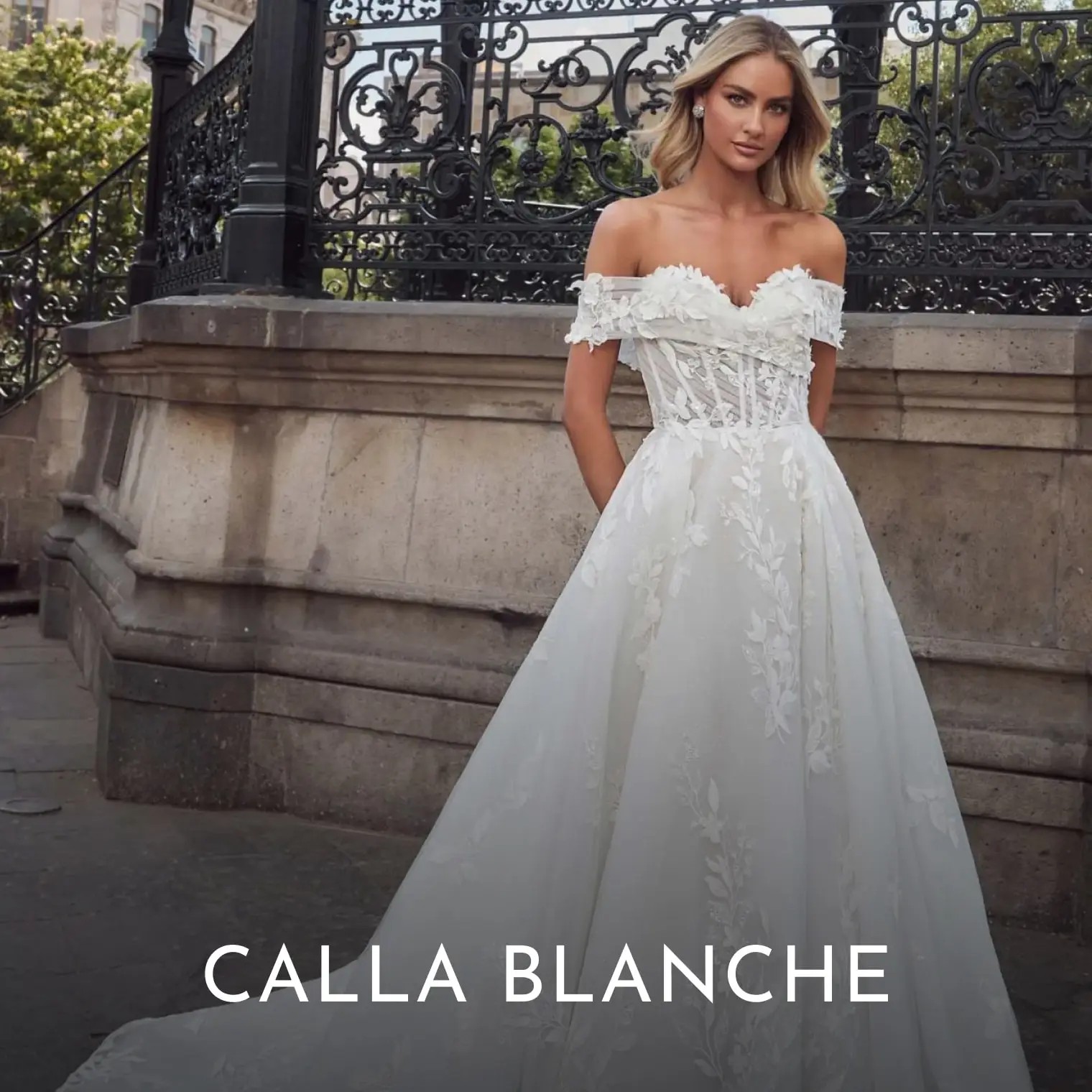 Calla Blanche